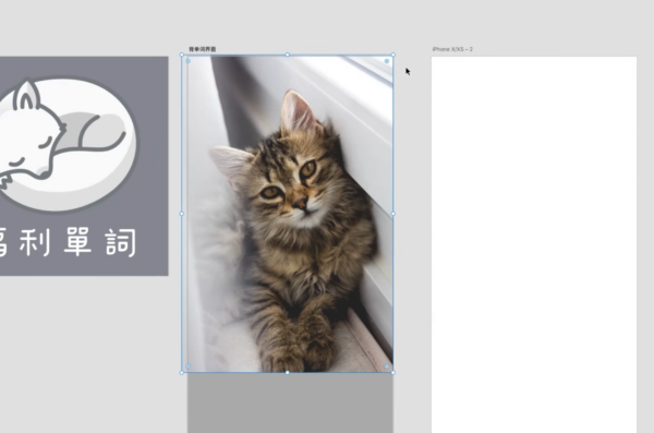 19-09添加猫图 -- 添加猫图